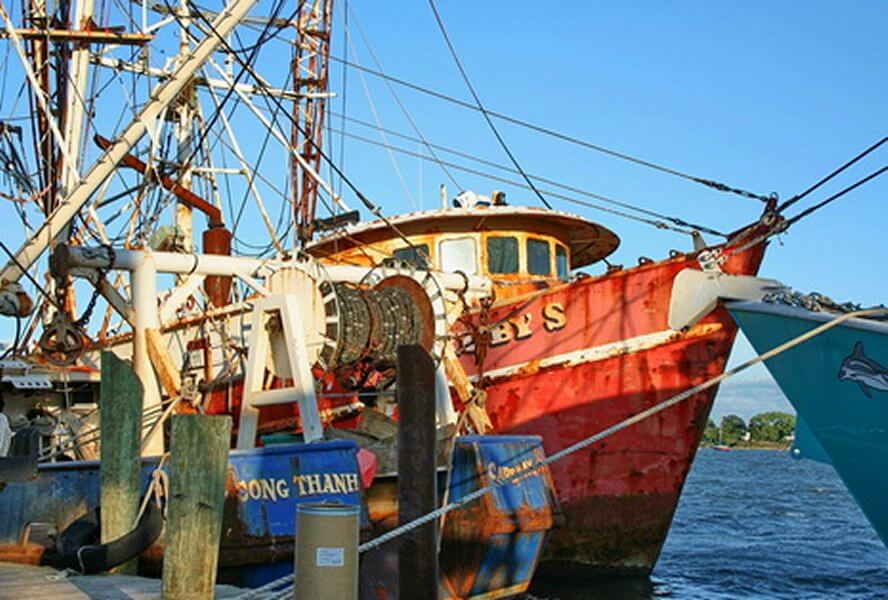 NJ Seafood: Fishing boats behind the restaurant