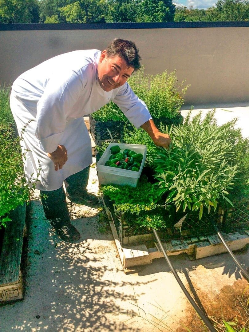 NJ Food-Chef Frank Rooftop Garden