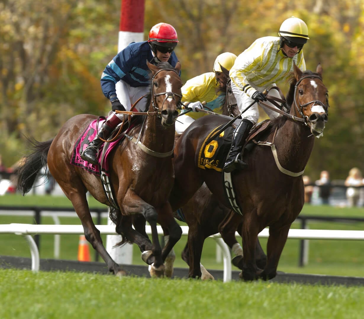 NJ Events-Horses Running Far Hills