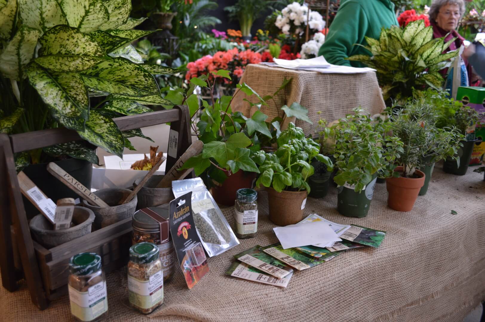 Herb Garden