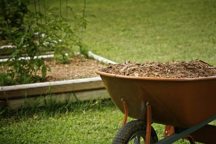 Compost