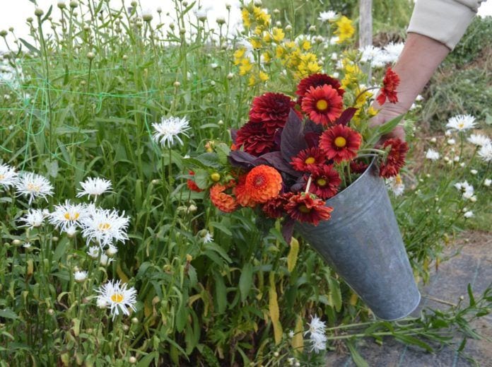 Spring Bouquets