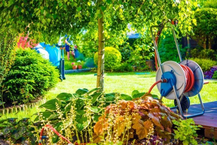 Backyard