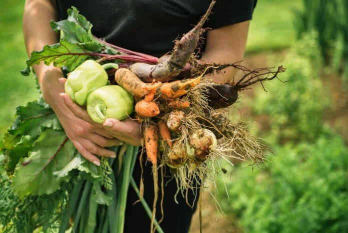 Community Garden