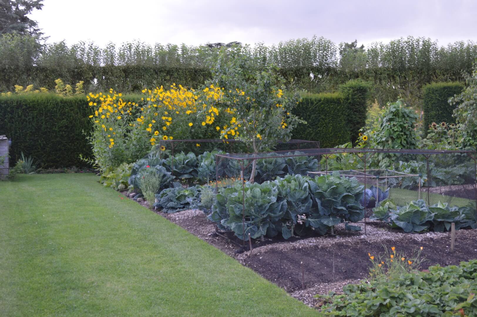 Compost