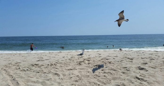 Point Pleasant