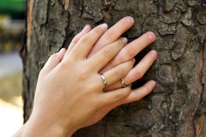 How to Have a Sustainable Wedding