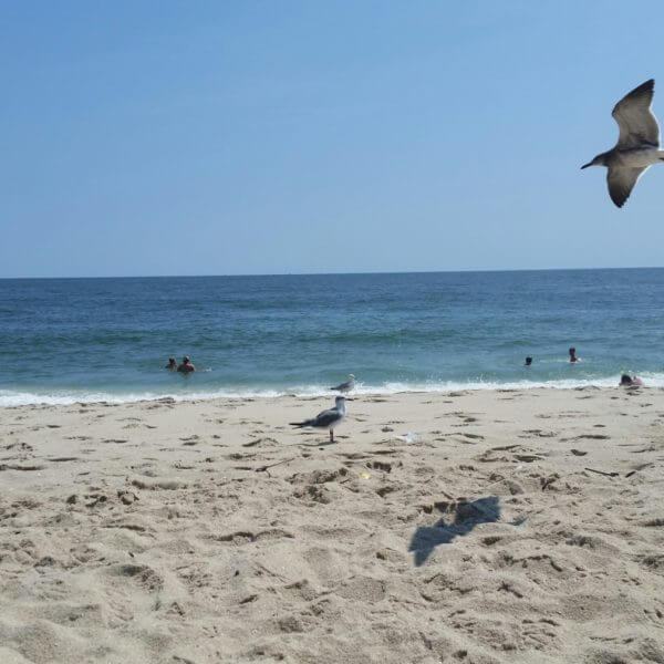 Summer at the Shore
