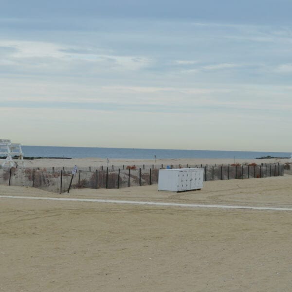 Summer at the Shore