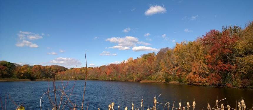 Wall Township