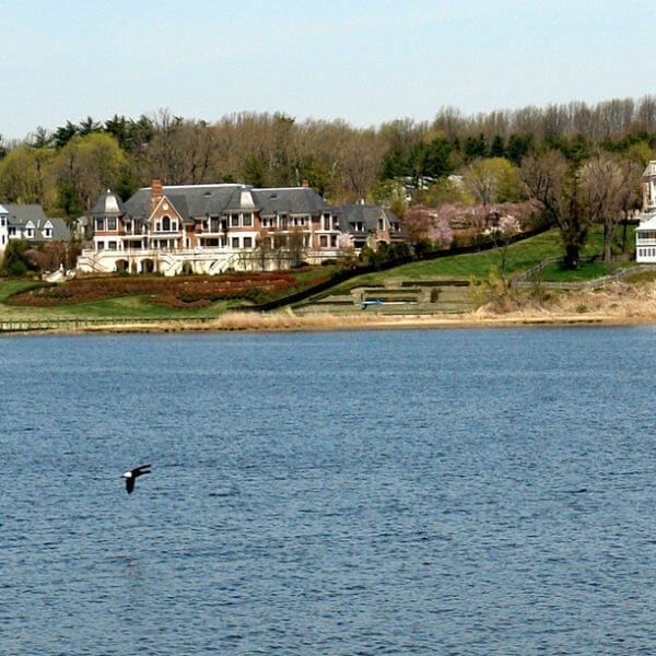 Summer at the Shore