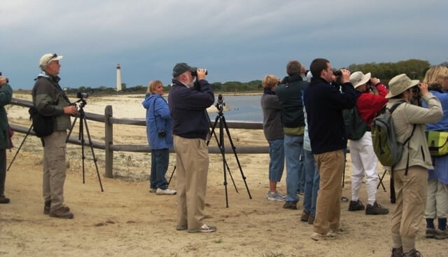 Cape May Bird Observatory