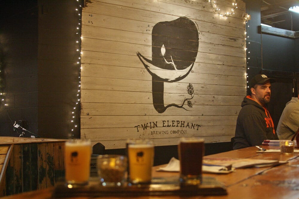 twin-elephant-3