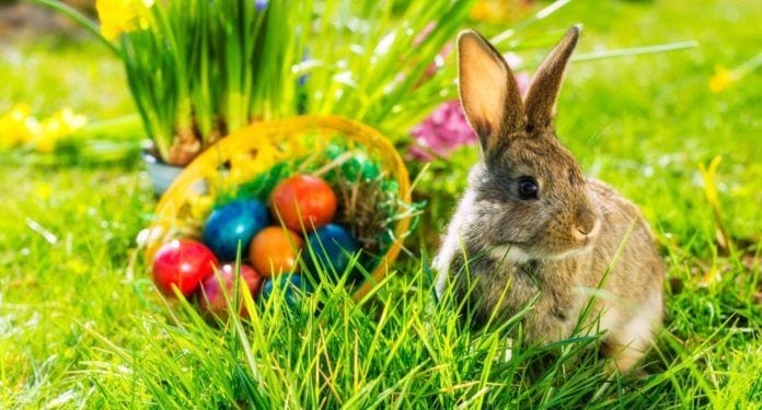 Easter in New Jersey