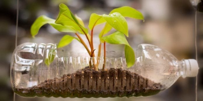Reducing Household Plastic Waste for Earth Day