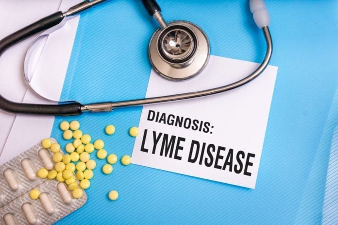 Lyme Disease