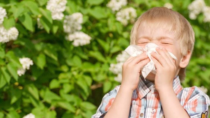 seasonal allergies