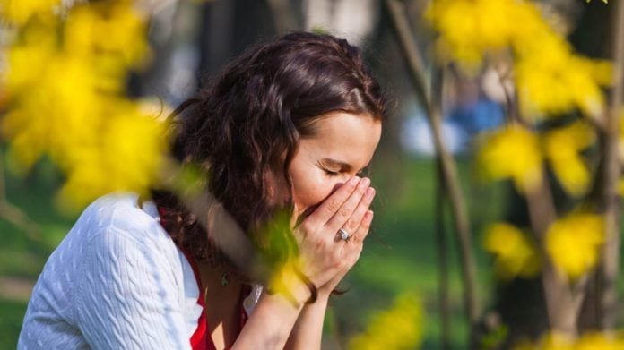 natural remedies, seasonal allergies