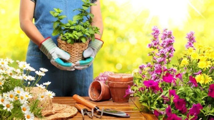 gardening zones