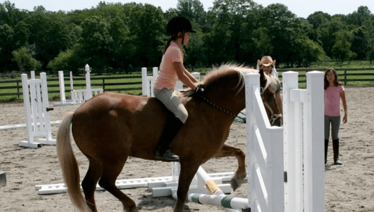 horseback riding