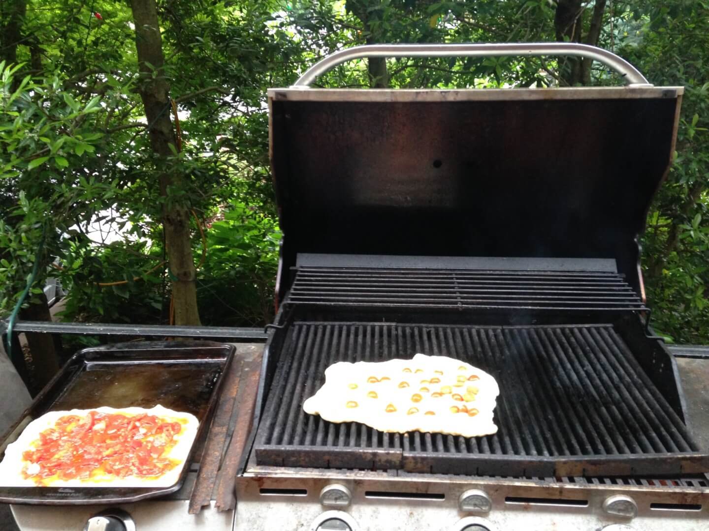 pizza, grill