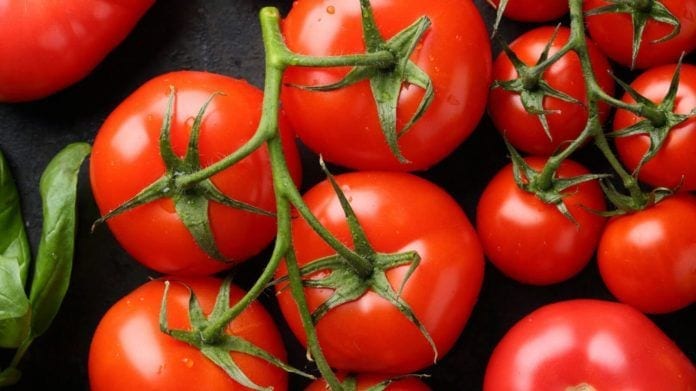 tomatoes, health benefits, eating tomatoes