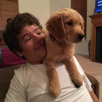 gaten matarazzo, stranger things