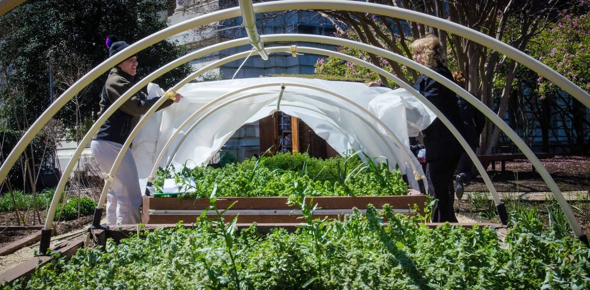 hoop house