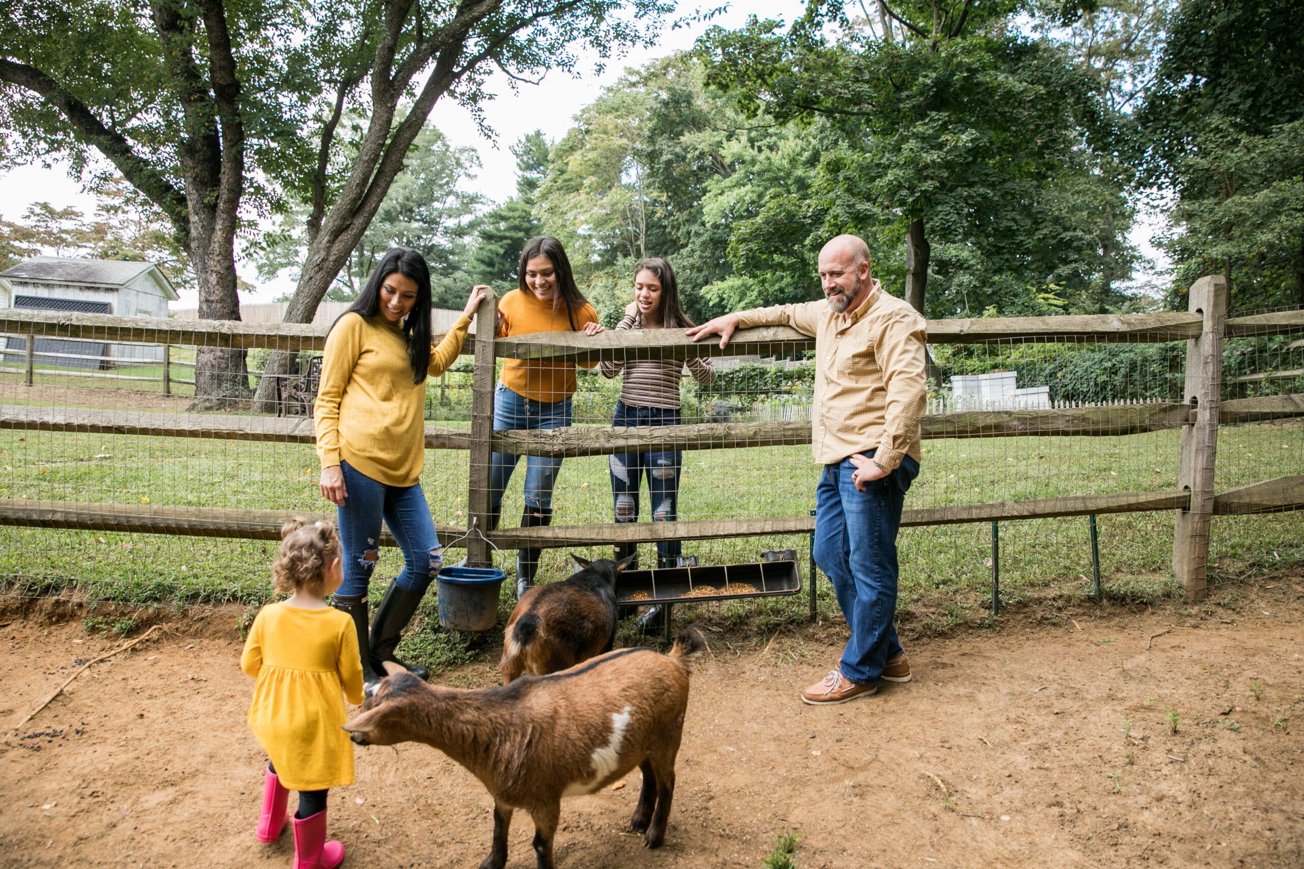 Homesteading Example from Oak Hill