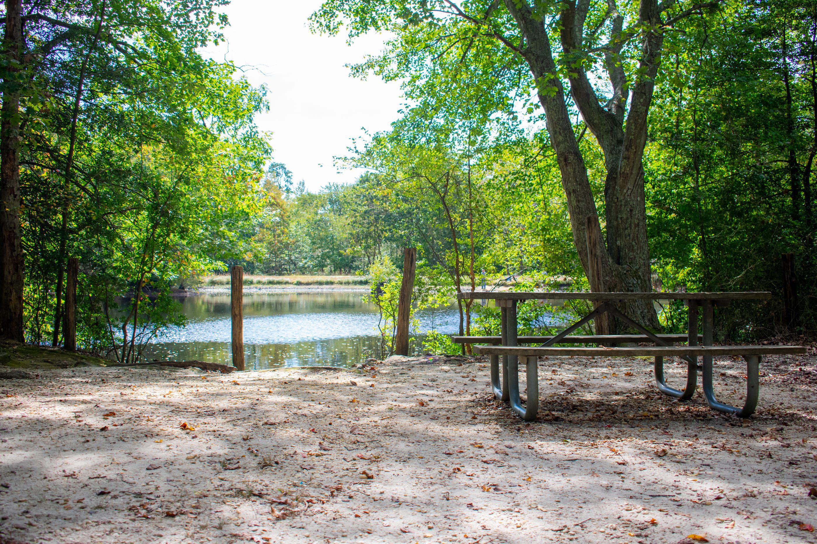 Picnic Area