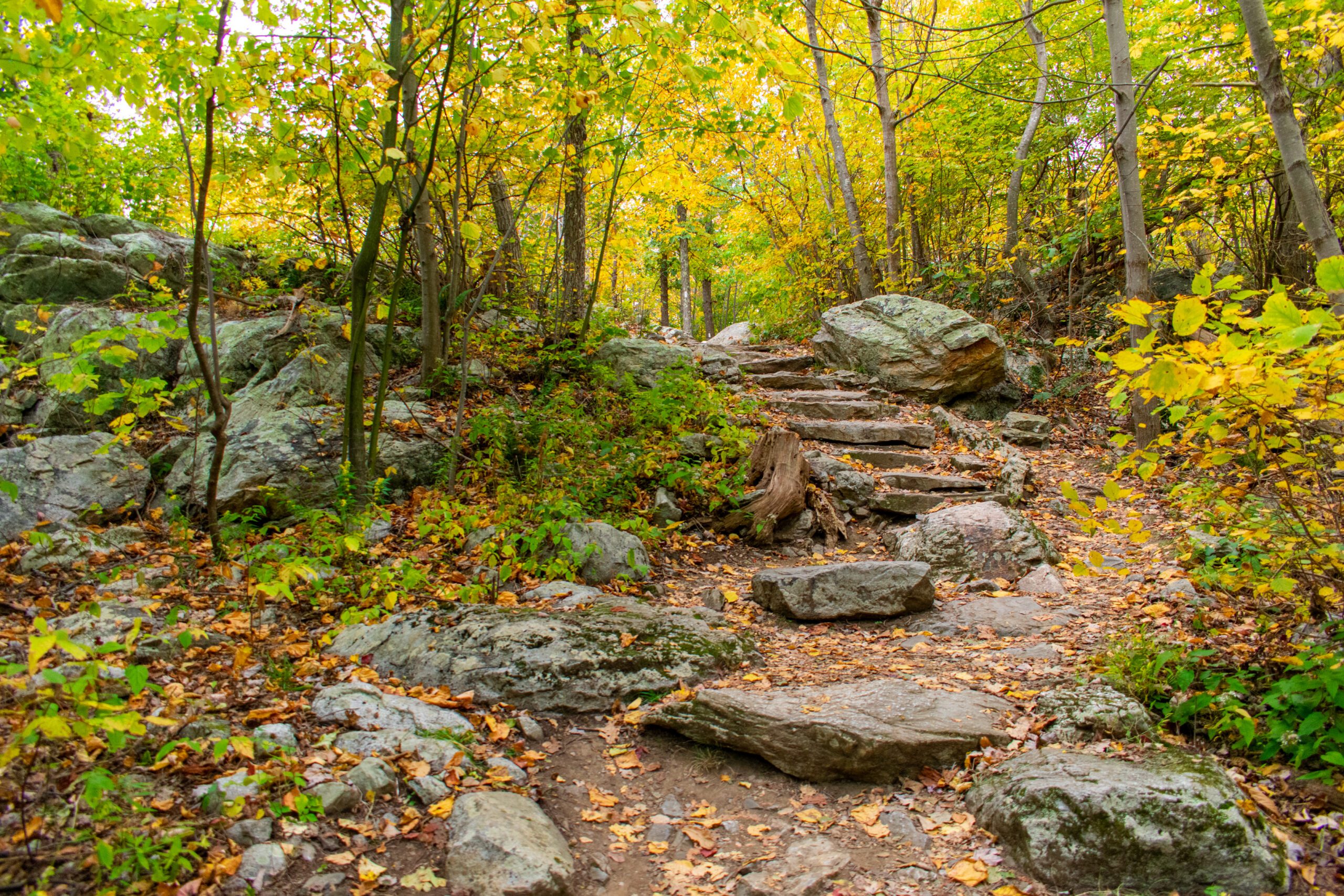 Rocky hiking trail