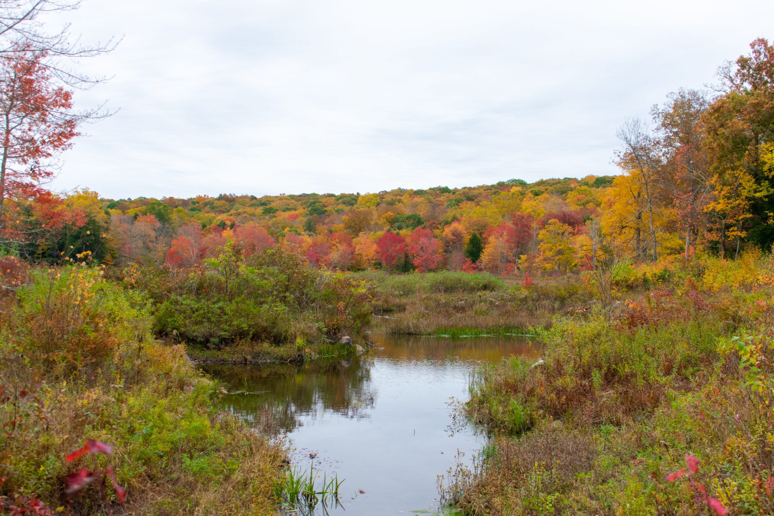 Lake along hiking trail
