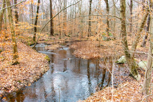 Tourne Pond