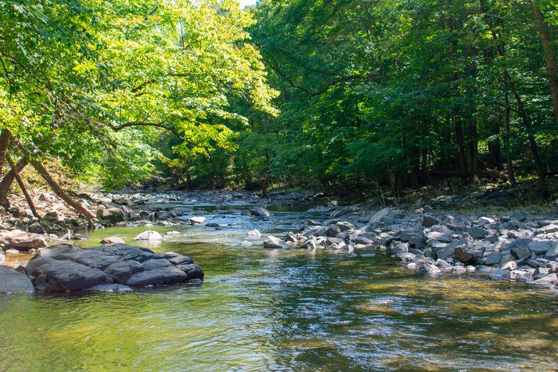 Lockatong Creek