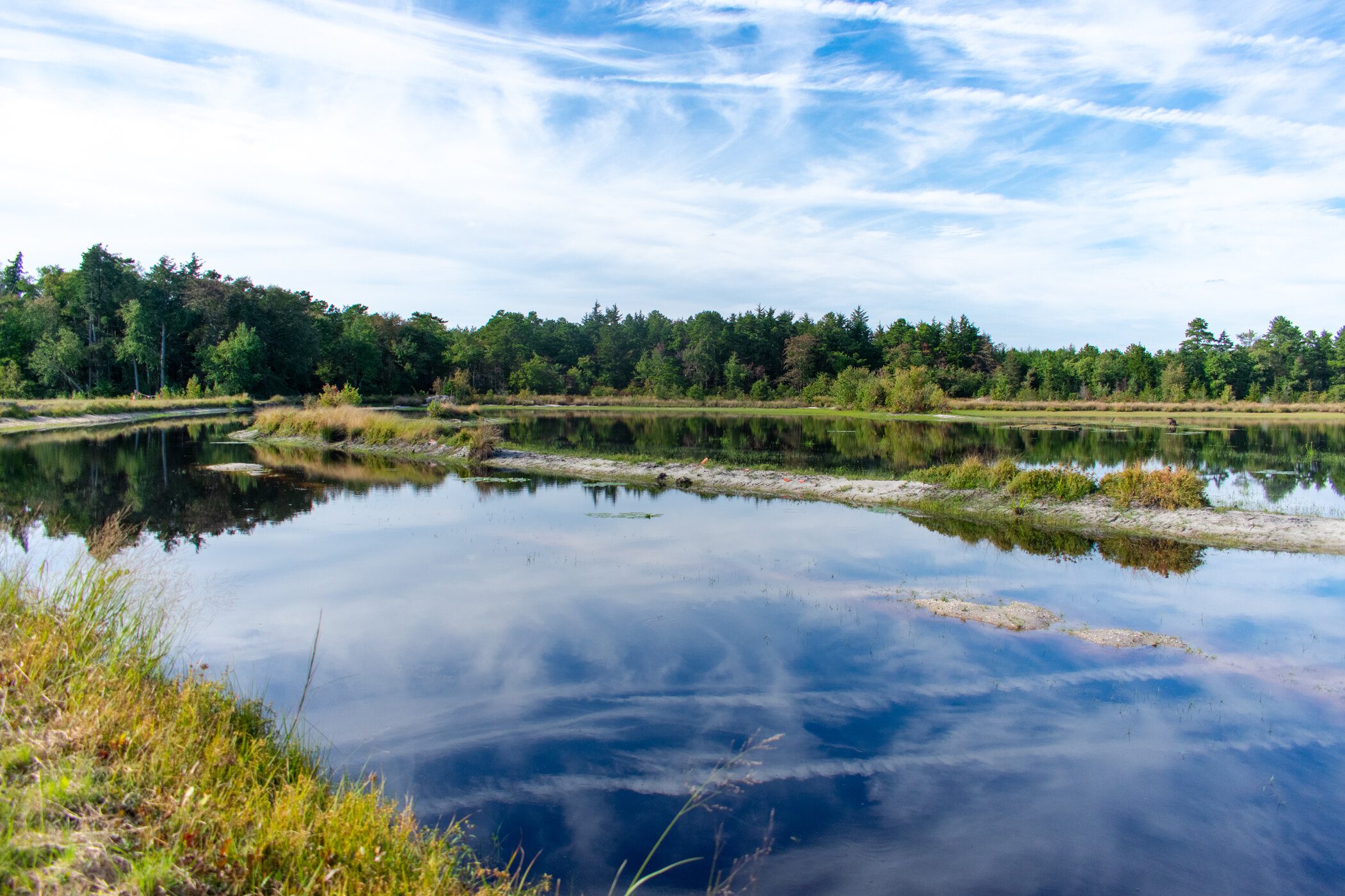 Whitesbog Pond (2)
