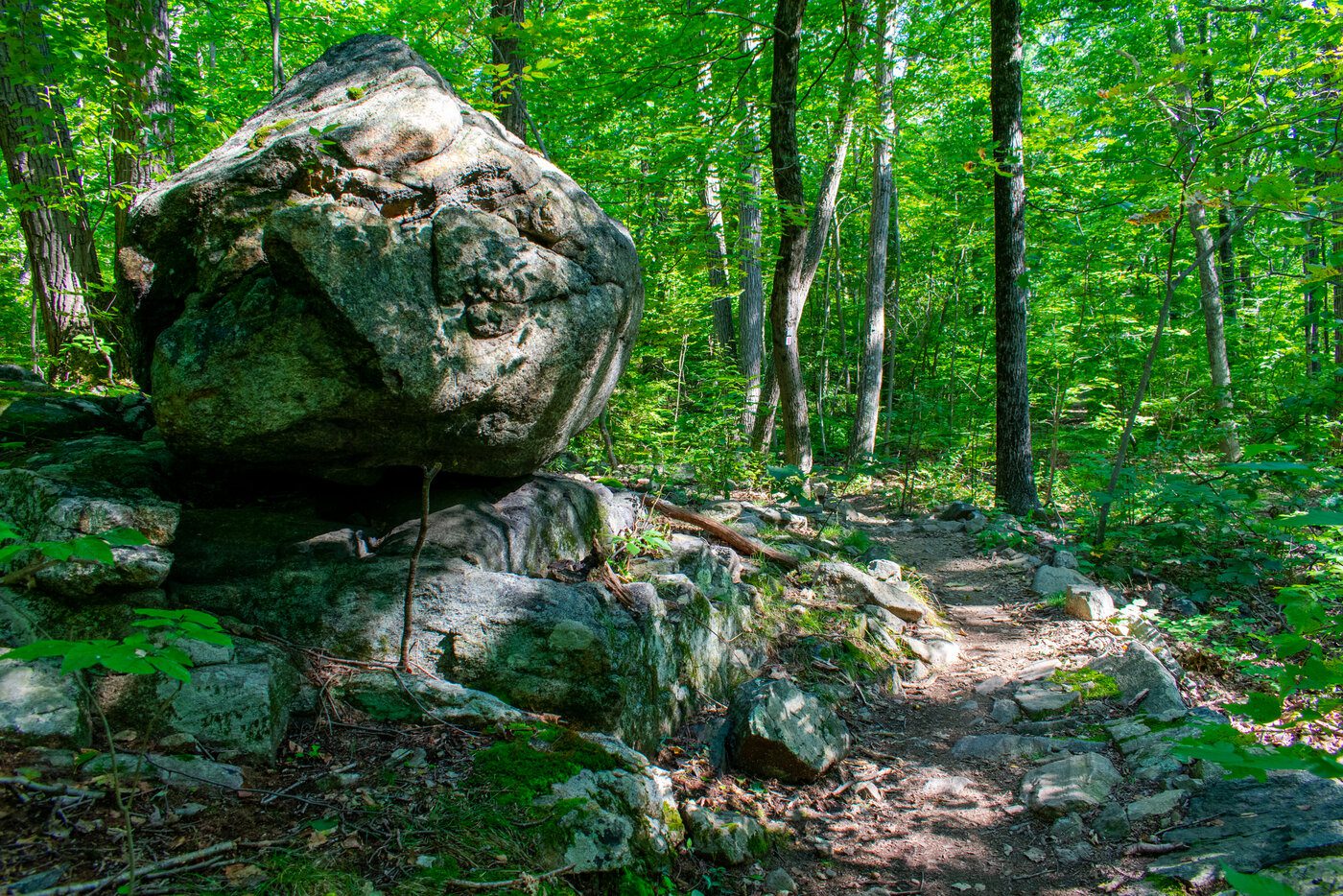 Boulder along trail