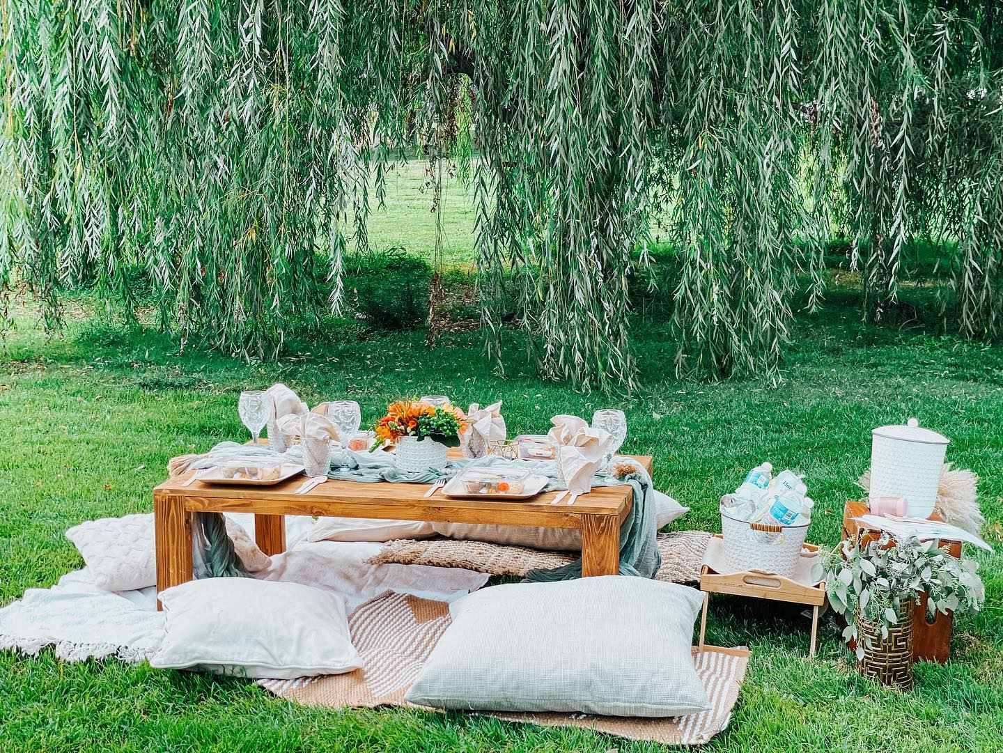 Field Picnic