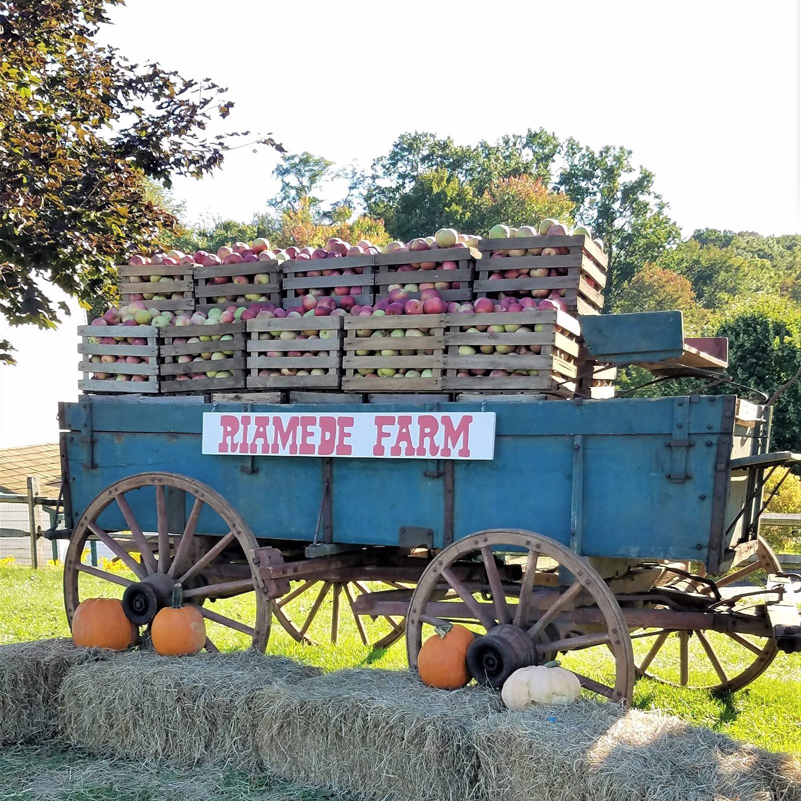 Apple Wagon